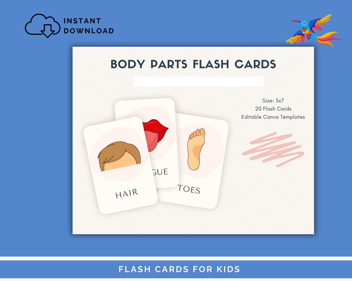 Body Parts Flashcards - 20 Printable Cards for Early Learning